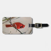 Étiquette À Bagage Un oiseau cardinal rouge sur une branche dans les  (Devant horizontal)