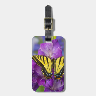 Étiquette À Bagage Un papillon vice-roi sur des glaïeuls violets