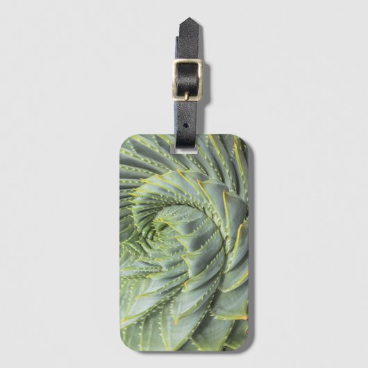 Étiquette À Bagage Un Succulent vert et blanc (Devant Vertical)