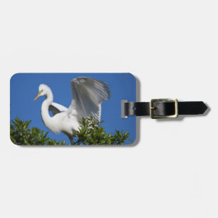 Étiquette À Bagage USA, Floride, St. Augustine, Aigrette