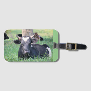 Étiquette À Bagage Vache