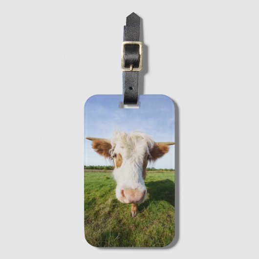 Étiquette À Bagage Vache Highland Se rapprocher Acrylique Imprimer (Devant Vertical)