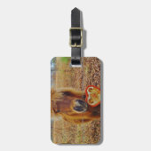 Étiquette À Bagage Valentine Heart Miniature Brown Horse (Devant Vertical)