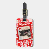Étiquette À Bagage Valentines Frontière Collie Coeurs de chien (Devant Vertical)