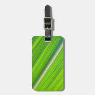 Étiquette À Bagage Vert naturel rayé