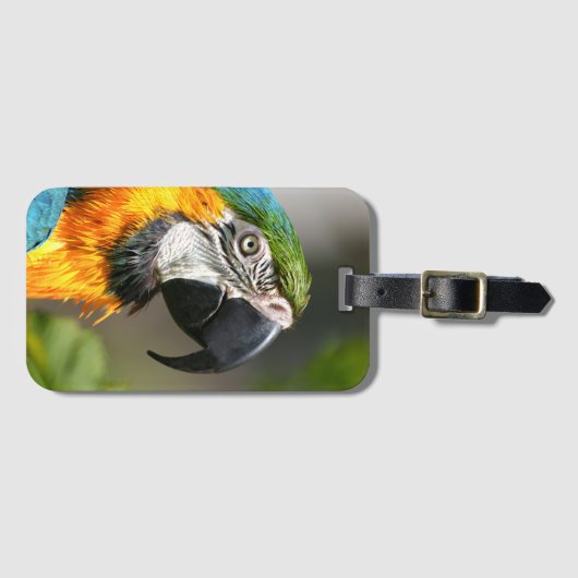 Étiquette À Bagage Vibrant couleur Macaw (Devant Horizontal)