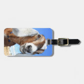 Étiquette À Bagage Vieux club de chèvre (Devant horizontal)