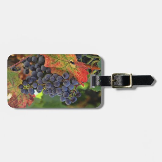 Étiquette À Bagage Vignobles Vignobles étiquettes (Devant horizontal)