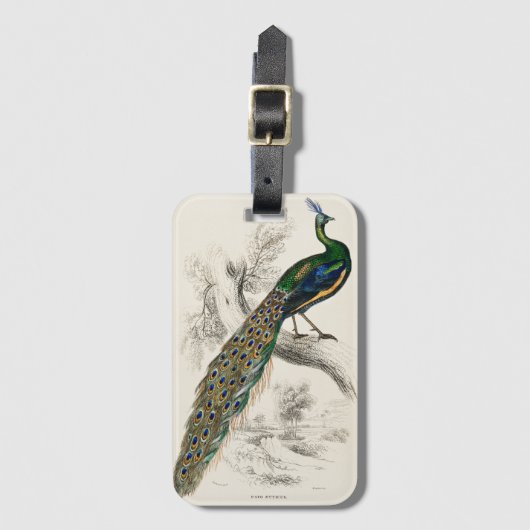 Étiquette À Bagage Vintage Peacock Histoire naturelle Imprimer (Devant Vertical)