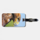 Étiquette À Bagage Vision d'un bel aigle d'or jeune (Dos horizontal)