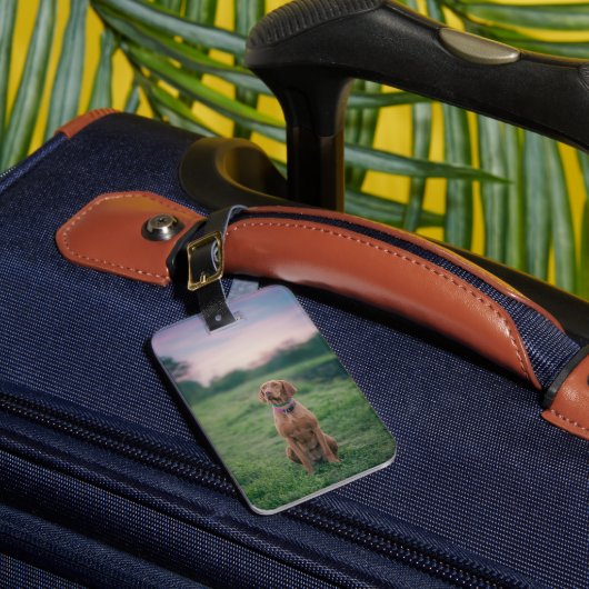 Étiquette À Bagage vizsla assise (Insitu Rectoal 1)
