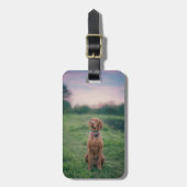 Étiquette À Bagage vizsla assise (Devant Vertical)