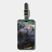 Étiquette À Bagage Vom excité Leithawald de berger allemand (Devant Vertical)