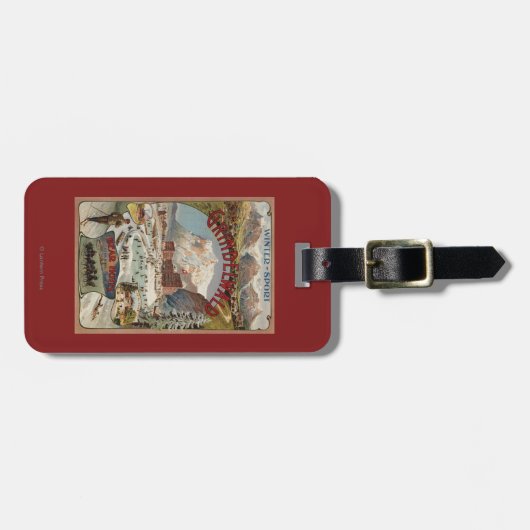 Étiquette À Bagage Vue de l'affiche promotionnelle d'hôtel d'ours (Devant horizontal)