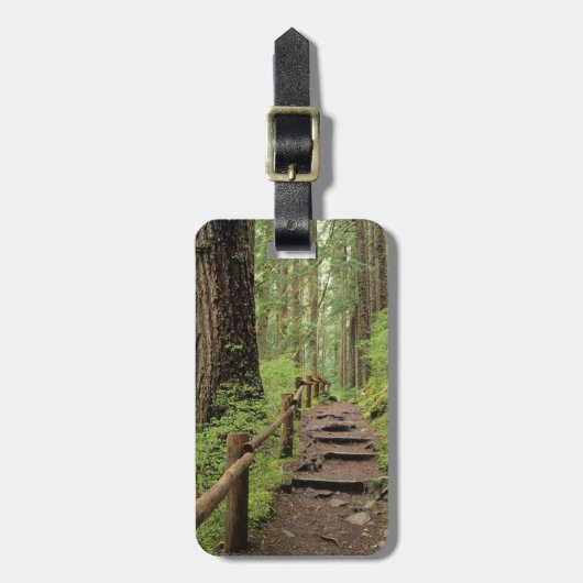 Étiquette À Bagage WA, parc national olympique, vallée de Sol Duc, fo (Devant Vertical)