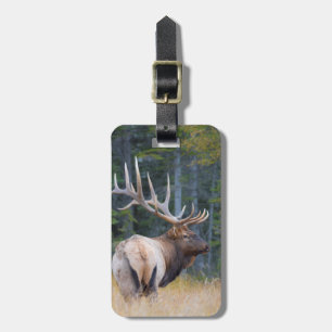 Étiquette À Bagage Wapiti mâle des montagnes Rocheuses
