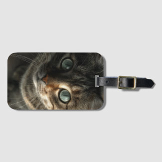 Étiquette À Bagage Whimsical Gray Cat Portrait Wall Art