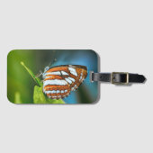 Étiquette À Bagage White and Orange Striped Butterfly (Devant Horizontal)