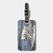 Étiquette À Bagage White German Shepard sur le lac George (Devant Vertical)