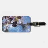 Étiquette À Bagage Winter Pine Cones (Devant horizontal)