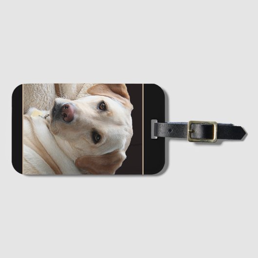 Étiquette À Bagage Yellow Labrador Retriever (Devant Horizontal)