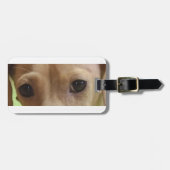 Étiquette À Bagage yeux crème dachshund (Devant horizontal)