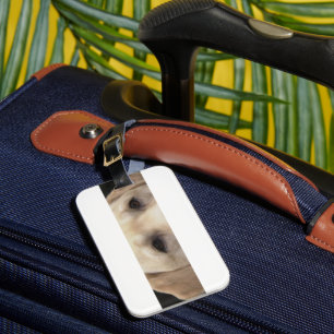 Étiquette À Bagage yeux de laboratoire jaunes