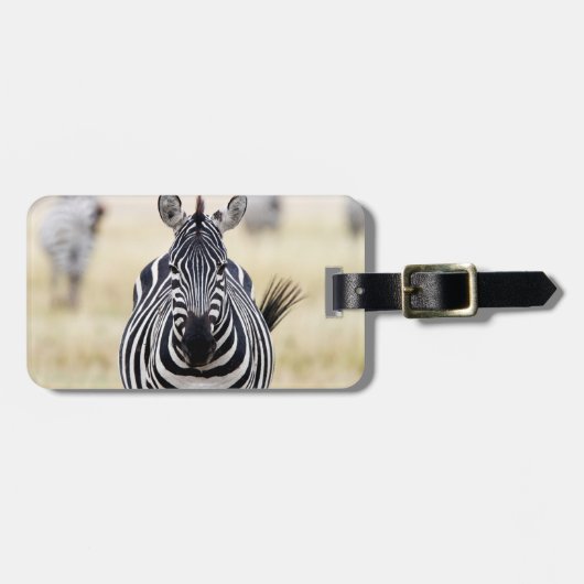 Étiquette À Bagage Zebra looking at you (Devant horizontal)
