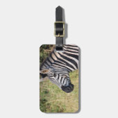 Étiquette À Bagage Zebra Stripes, une destination africaine de safari (Devant Vertical)