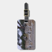 Étiquette À Bagage Zebra Twins Double Take Photo (Devant Vertical)