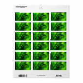 Étiquette à la recherche de vert (Feuille entière)