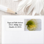 Étiquette À l'intérieur d'un cactus blanc en fleurs (En situation)