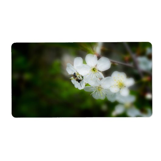 Étiquette Abeille assise sur une fleur blanche (Devant)
