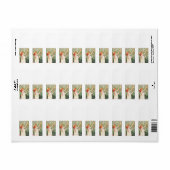 Étiquette Absinthe Robette (Feuille entière)