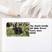 Étiquette Ach ! (En situation)