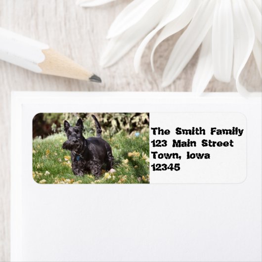 Étiquette Ach ! (En situation)