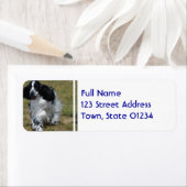 Étiquette Adorable Anglais Cocker Spaniel (En situation)