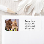 Étiquette Adorable chatons birmans dans une tasse adresse de (En situation)