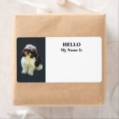 Étiquette Adorable chiot Shih Tzu (En situation)