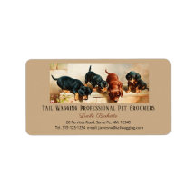 Adorable Mignonne Doxies Dachshund Puppy Pet Groom