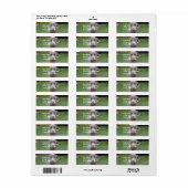 Étiquette Adorable Weimaraner (Feuille entière)