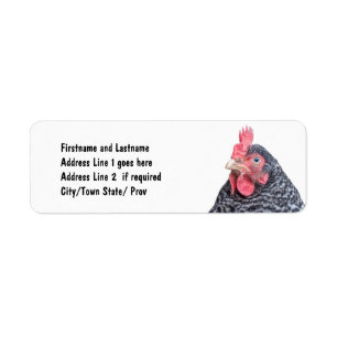 Étiquette Adresse customisée par photo mignonne de poulet