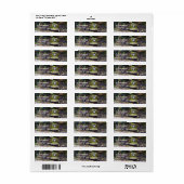 Étiquette Adresse de l'animal Bullfrog Smiling (Feuille entière)