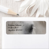 Étiquette Adresse de l'oeil du Cheval Percheron blanc (En situation)