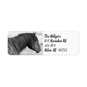 Étiquette Adresse de McCullough Peaks Wild Horse