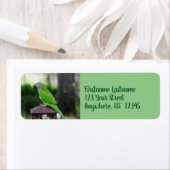 Étiquette Adresse de perroquet à tête large (En situation)