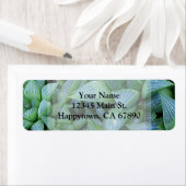 Étiquette Adresse de Plante Succulent de Hworth Vert Personn (En situation)