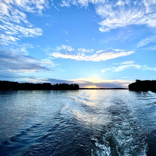 Étiquette Adresse de retour