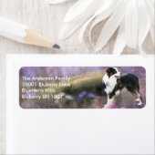 Étiquette Adresse de Retour Border Collie (En situation)