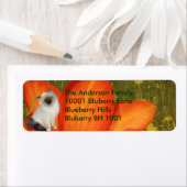 Étiquette Adresse de Retour Chat & Fleurs (En situation)